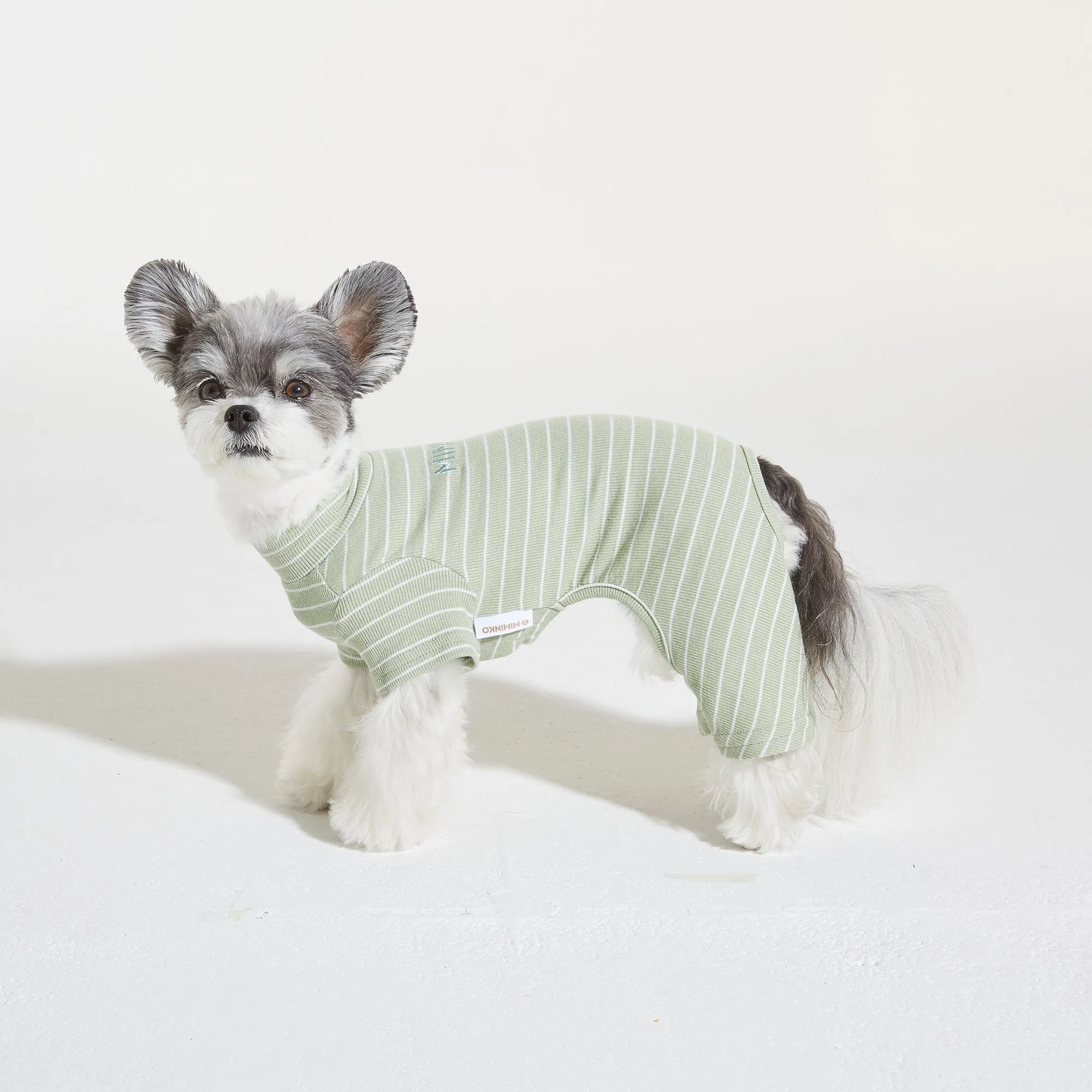 All Striped Up Onesie - Mint
