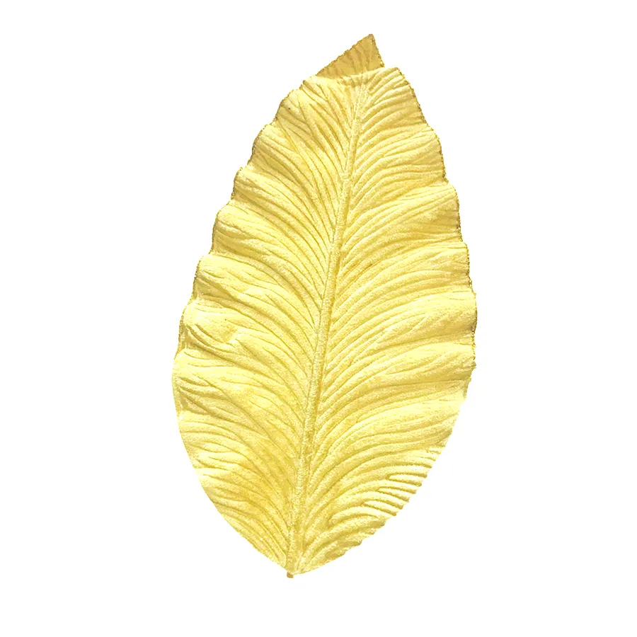 Diffenbachia Velvet Leaf