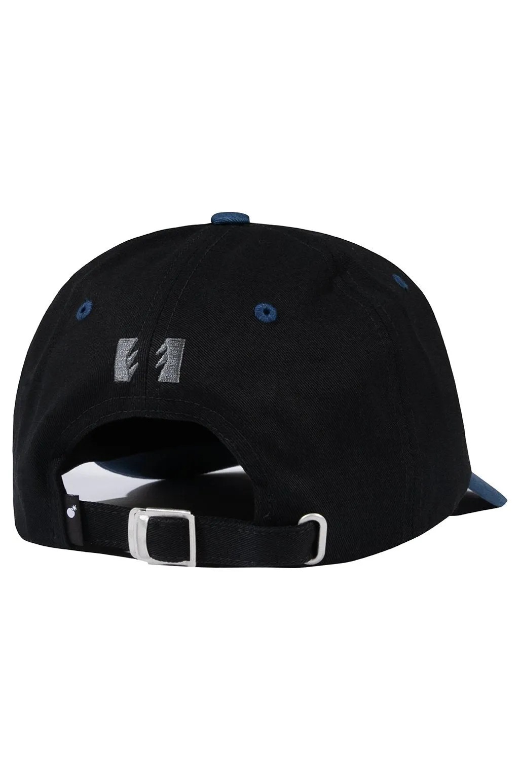 Flight Dad Hat