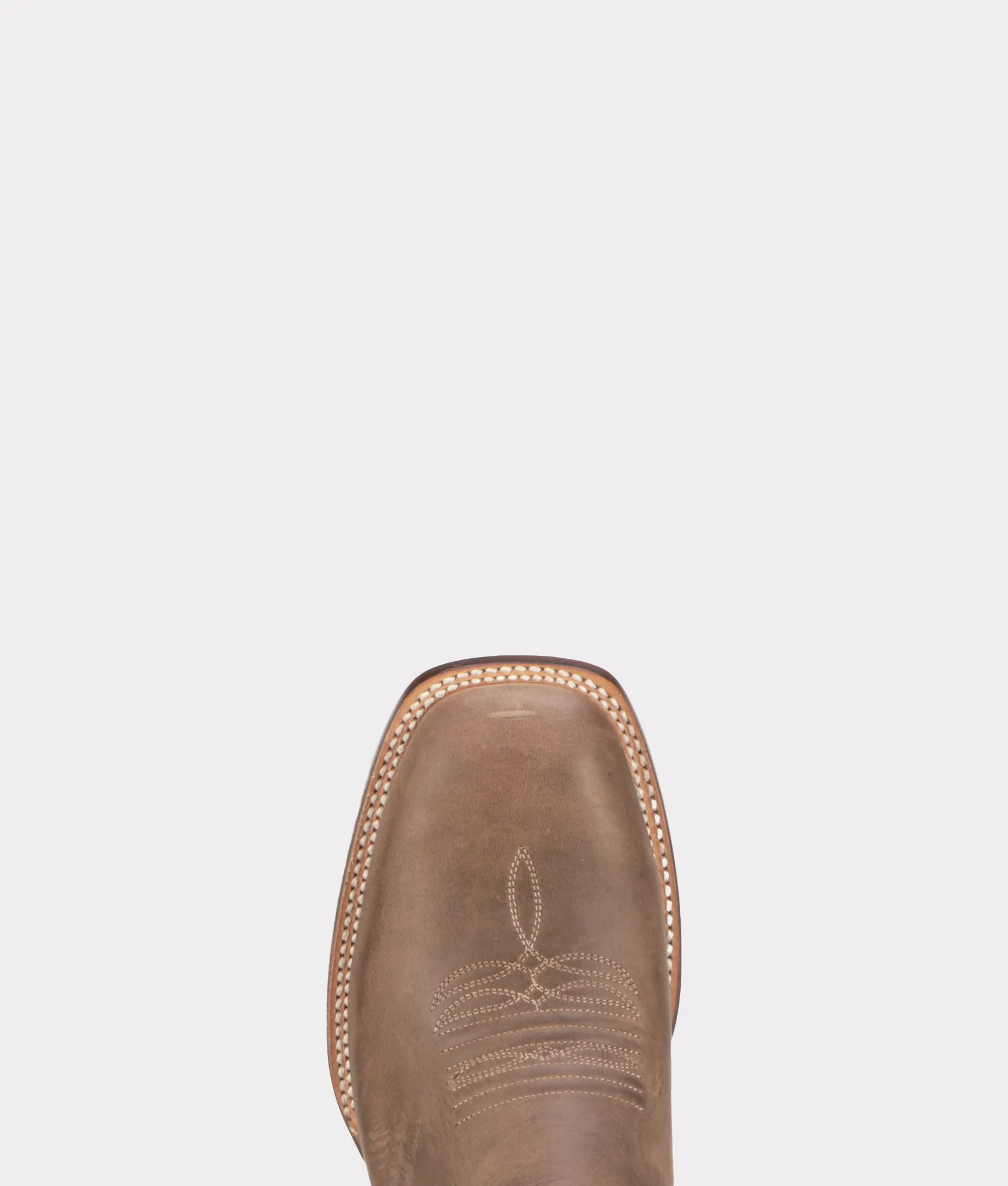 Gordon :: Tan