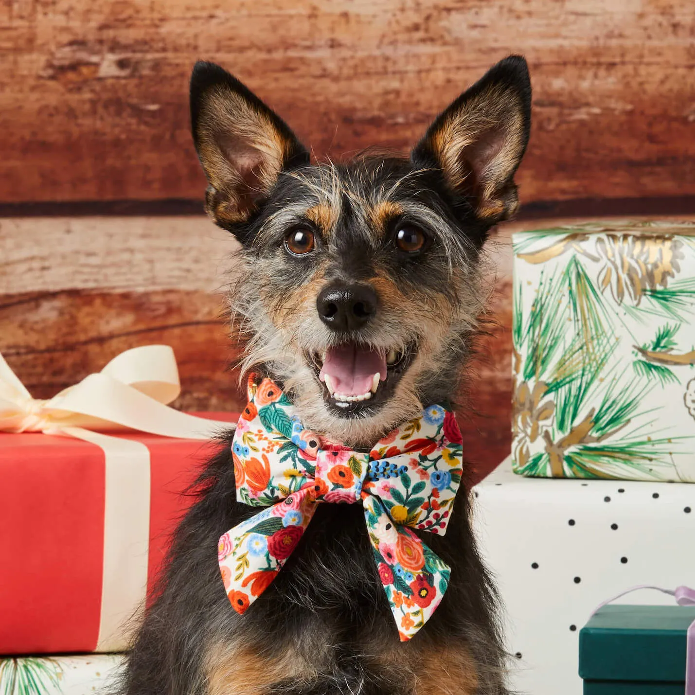 Rifle Paper Co. x TFD Garden Party Lady Bow Collar