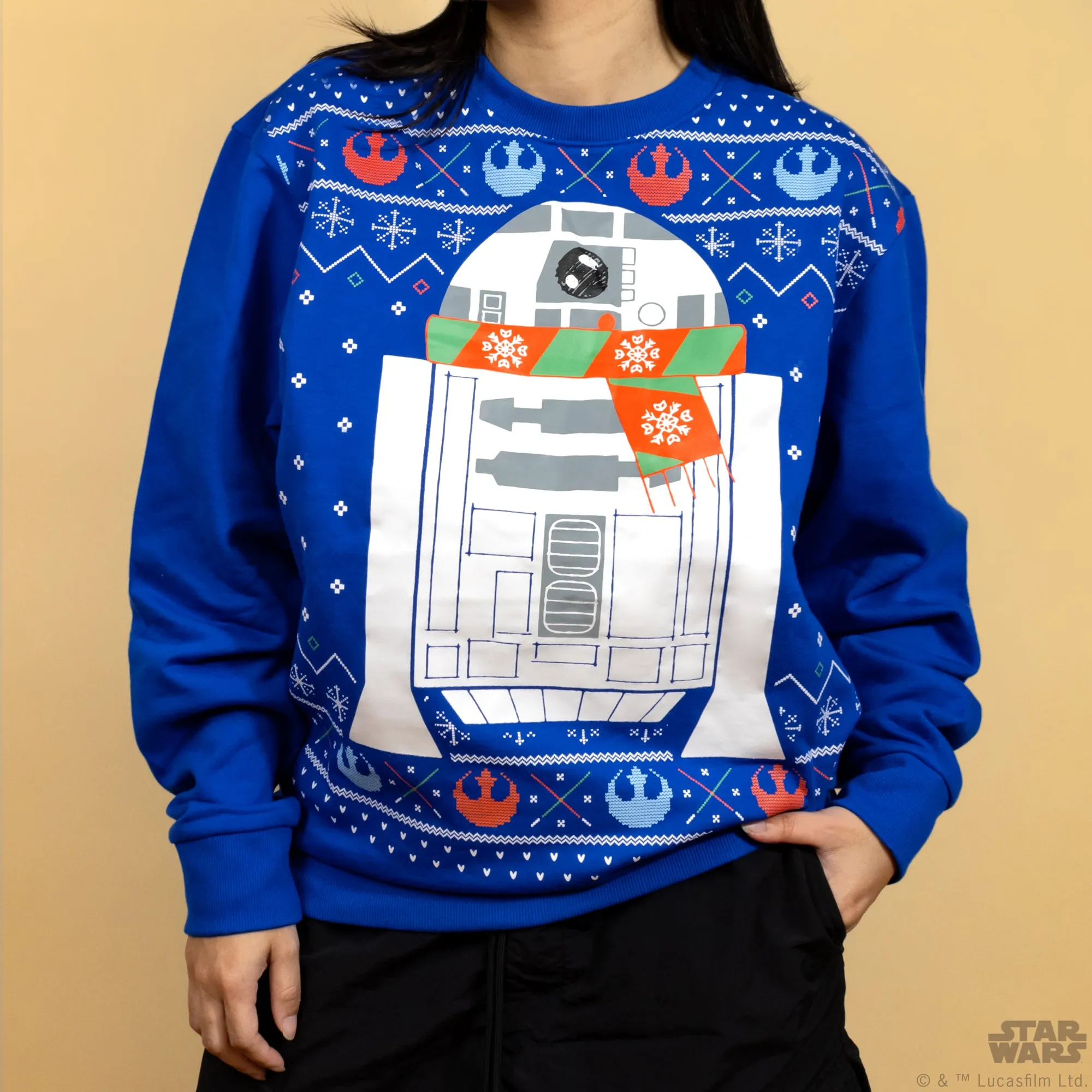 Star Wars - Happy Holidays from the Droids Collector's Box